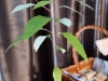 img-20140617-wa020